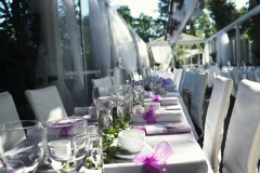 Sommarbröllop i glashuset - bar himmel med det avtagbara taket