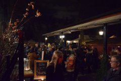 Mingel i vinterträdgården